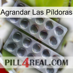 Agrandar Las Píldoras 31